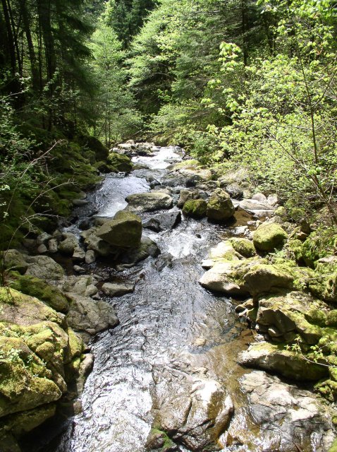 4.30.06 Hamilton Mountain 030 